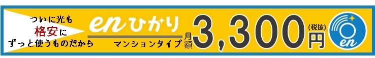 【enひかり】バナー横長 パターンA(Y).jpg Enひかり バナー横長 パターンA Y